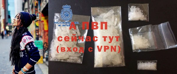 стаф Пересвет