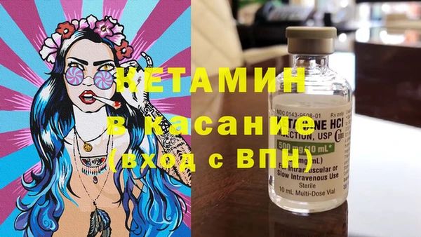 прущие грибы Аркадак