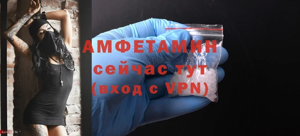 стаф Пересвет