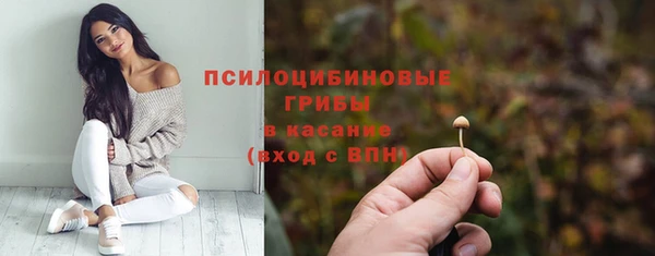 герыч Пестово