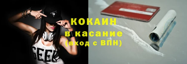 прущие грибы Аркадак