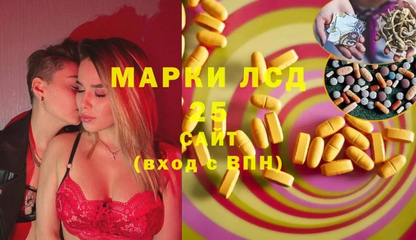 прущие грибы Аркадак