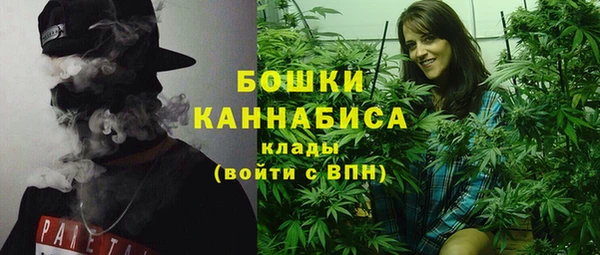 стаф Пересвет