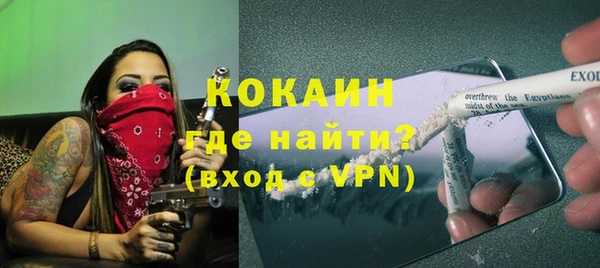 стаф Пересвет