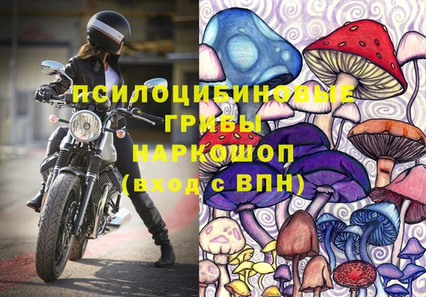 стаф Пересвет