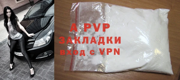 стаф Пересвет